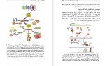 دانلود کتاب نتوزیس ایمنی پاتوژنز و درمان گیتا رای 168 صفحه PDF 📘-1