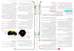 دانلود کتاب جتاب تست های مفهومی و ترکیبی زیست شناسی یازدهم مجید علی نوری 174 صفحه PDF 📘-1