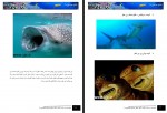 دانلود کتاب دنیای زیر آب سمانه معزی 190 صفحه PDF 📘-1