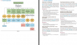 دانلود کتاب First Aid Clinical Algorithms Step 2 جاناتان کرامر 895 صفحه PDF 📘-1