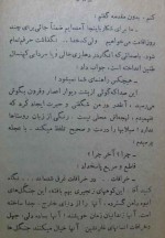 دانلود کتاب پلنگ پرویز قاضی سعید 315 صفحه PDF 📘-1