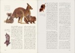 دانلود کتاب دانشنامه عمومی محمود بهزاد 136 صفحه PDF 📘-1