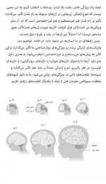 دانلود کتاب مغز با شخصیت کوین جی میشل 435 صفحه PDF 📘-1