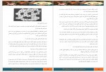 دانلود کتاب در جستجوی دلتورا2 محبوبه نجف خانی 93 صفحه PDF 📘-1