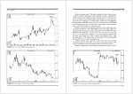 دانلود کتاب japanese candlestick charting techniques استیو نیسون 330 صفحه PDF 📘-1