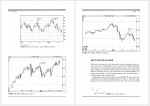 دانلود کتاب japanese candlestick charting techniques استیو نیسون 330 صفحه PDF 📘-1