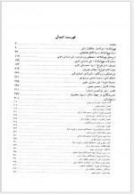 دانلود کتاب دانشنامه امام علی جلد دوازدهم علی اکبر رشاد 534 صفحه PDF📘-1