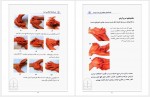 دانلود کتاب ماساژ درمانی با دست فروزان برادران ساداتی 168 صفحه PDF📘-1