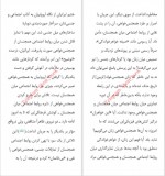 دانلود کتاب زنان سیبیلو و مردان بی ریش افسانه نجم آبادی 203 صفحه PDF📘-1