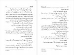 دانلود کتاب میگر و زن دیوانه نجمه طباطبایی 198 صفحه PDF📘-1