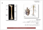 دانلود جزوه ارتوپدی دکتر شاهین فر 63 صفحه PDF 📘-1