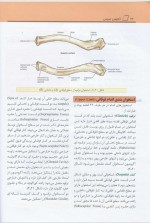 دانلود کتاب آناتومی عمومی علی والیانی 261 صفحه PDF 📘-1