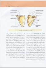 دانلود کتاب آناتومی عمومی علی والیانی 261 صفحه PDF 📘-1