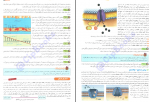 دانلود کتاب زیست شناسی 1 پایه دهم فردین جوادی 251 صفحه PDF 📘-1