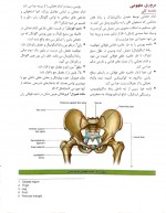 دانلود کتاب آناتومی گری جلد دوم ریچارد درک 321 صفحه PDF 📘-1