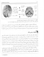 دانلود کتاب روان شناسی فیزیولوژی یحیی سید محمدی 391 صفحه PDF 📘-1