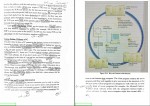 دانلود کتاب زبان تخصصی برای دانشجویان کامپیوتر منوچهر حقانی 235 صفحه PDF 📘-1