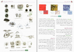 دانلود کتاب آناتومی عمومی ایمانه شمایلی یگانه 343 صفحه PDF 📘-1