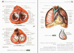 دانلود کتاب آناتومی عمومی ایمانه شمایلی یگانه 343 صفحه PDF 📘-1