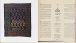 دانلود کتاب رویای بهشت هنر قالی بافی ایران جلد 2 باسم محمدی 457 صفحه PDF 📘-1