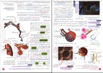 دانلود کتاب زیست شناسی دهم مجید علی نوری 168 صفحه PDF 📘-1