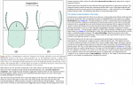 دانلود کتاب Respiratory Medicine Lecture Notes گراهام پی برنز 472 صفحه PDF 📘-1