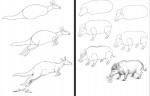 دانلود کتاب حیوانات در قاب طراحی محمد علیزاده 154 صفحه PDF 📘-1