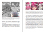 دانلود کتاب Brain Anatomy and Neurosurgical Approaches ابروال گادلها 594 صفحه PDF 📘-1