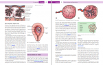 دانلود کتاب Myles Textbook for Midwives جین ای مارشال 799 صفحه PDF 📘-1