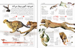 دانلود کتاب دانشنامه تصویری بریتانیکا پستانداران حسن سالاری 104 صفحه PDF 📘-1