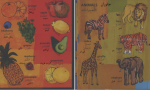 دانلود کتاب لغت نامه مصور برای کودکان انگلیسی، عربی، فارسی سدات تورهان 42 صفحه PDF 📘-1